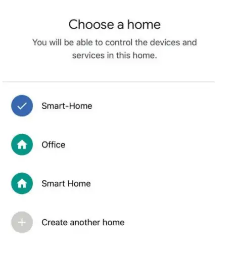 Google Home Settings