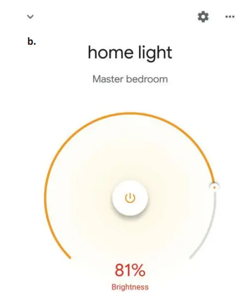 Google Home Settings