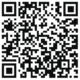 Soundpeats Q12HD Bluetooth Wireless Earphones - QR