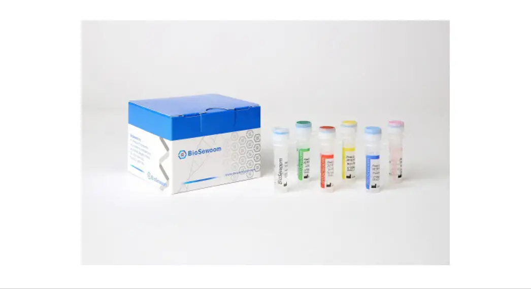Biosewoom Real-q 2019-ncov Detection Kit Instruction Manual Biosewoom Real-q 2019-ncov Detection Kit Instruction Manual