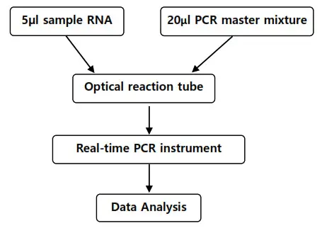 BioSewoom Real Q 2019 nCoV Detection Kit-workflow