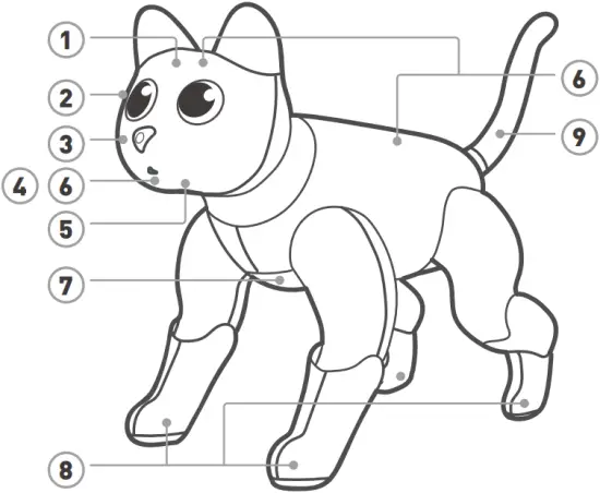 marscat MARS-1001 - Features 1