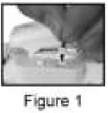 Disassembly Instructions