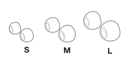 JBL LIVE 220BT - Select the ear tips