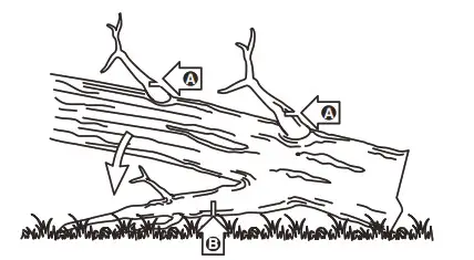 greenworks pro Polesaw larger lower