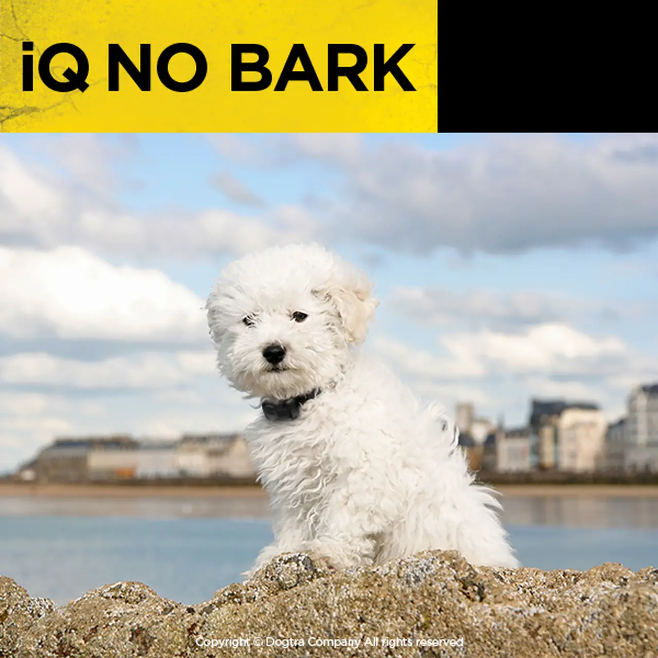 Dogtra Iq No Bark Owner's Manual Dogtra Iq No Bark Owner's Manual