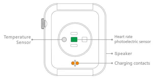 Hunter 19542 8 Light Foyer Lantern Pendant Instruction Manual - Appearance description 2