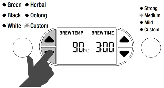 sage BTM800 Tea Maker-scoop1