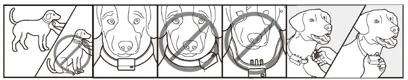 chewy-V1647020781-Waterproof-and-Rechargeable-Bark-Collar-fig-9