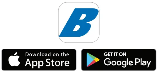 BAPI 41521 Blu Test Wireless Test Instruments - Symbol