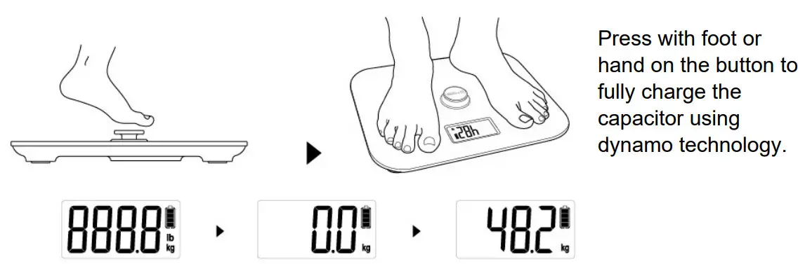 caso DESIGN 3416 Body Energy Ecostyle Personal Scale - figure 1