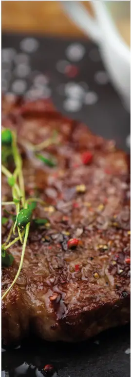 SALTER EK5196 Dual Air Pro Air Fryer - FIG2