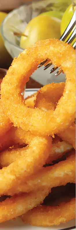 SALTER EK5196 Dual Air Pro Air Fryer - FIG5