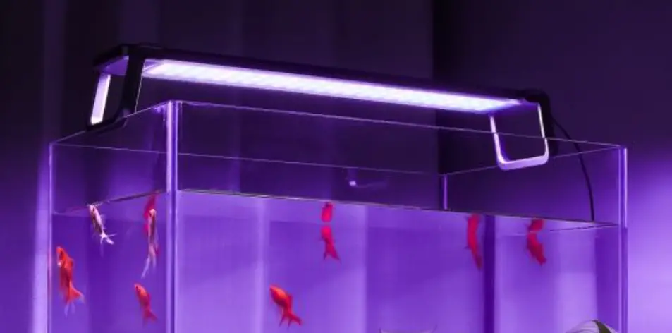 Shenzhen Huiyuan Intelligent Electronics Hg028 Smart Aquarium Led Light User Manual