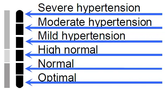 A-D-UA-651SL-Plus-Digital-Blood-Pressure-Monitor-fig-19