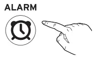 Setting and Using A Sound Alarm Icon
