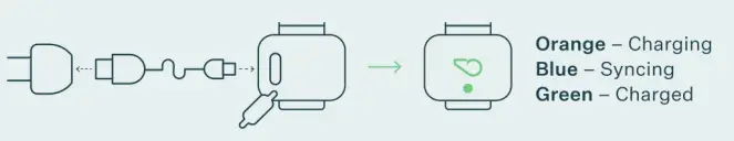 Kinship-Partners-AM4A-Pet-Activity-Monitor-2