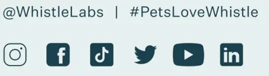 Kinship-Partners-AM4A-Pet-Activity-Monitor-7