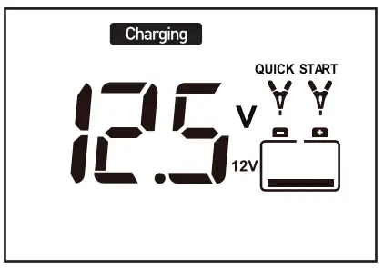 TYPE S AC532577 26A WiFi Battery Charger and Maintainer - battery timer 14
