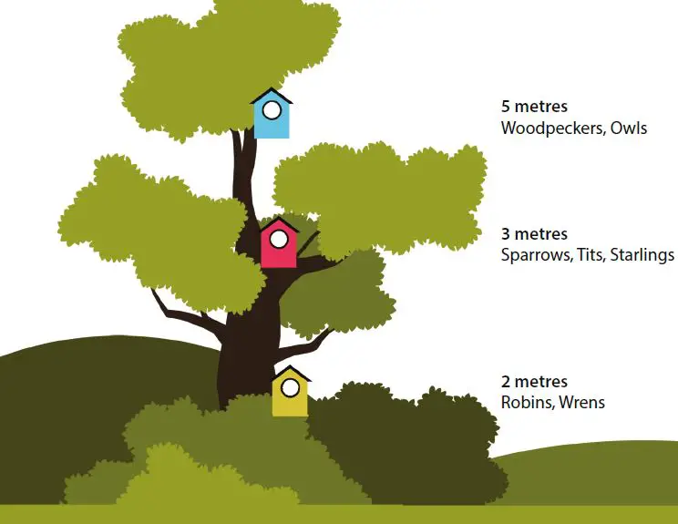 Green Feathers NCIP3WF Bird Box Camera with WiFi Connection Gen 3.0-5