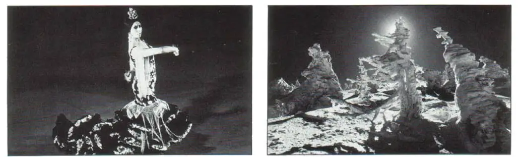 Pentax-k1000-Digital-Camera-User-M