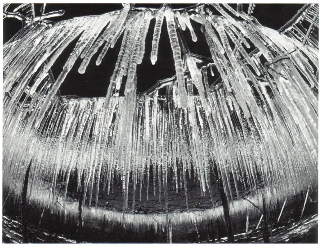 Pentax-k1000-Digital-Camera-User-Manual-fig-31