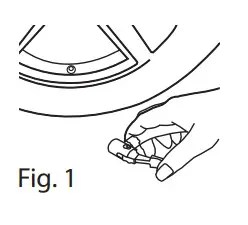 BLAUPUNKT TIF 30 DA - 12V Tyre Inflator- Fig. 1