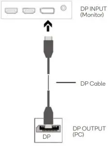 DisplayPort Connectivity