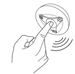 RhinoCo TECHNOLOGY ALL-SMD1 Interconnected Smoke Detector User Manual - Testing The Smoke Alarm