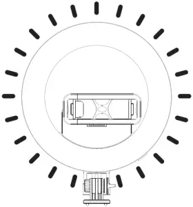 SYOSIN Q07 The purpose of the ring lamp