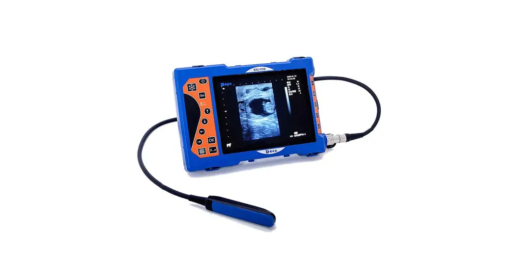Zhengzhou Boxianglai Electronic Sci-techco Ltd Bxl-m3 Full Digital Veterinary B-ultrasound Device User Manual