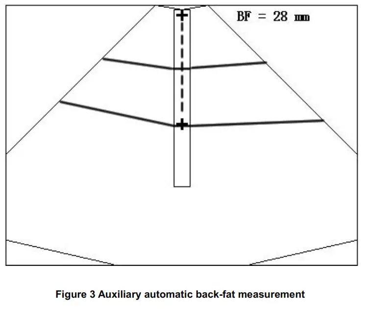 ZHENGZHOU BOXIANGLAI ELECTRONIC SCI TECHNO LTD BXL M3 Full Digital Veterinary B Ultrasound Device - button, 24