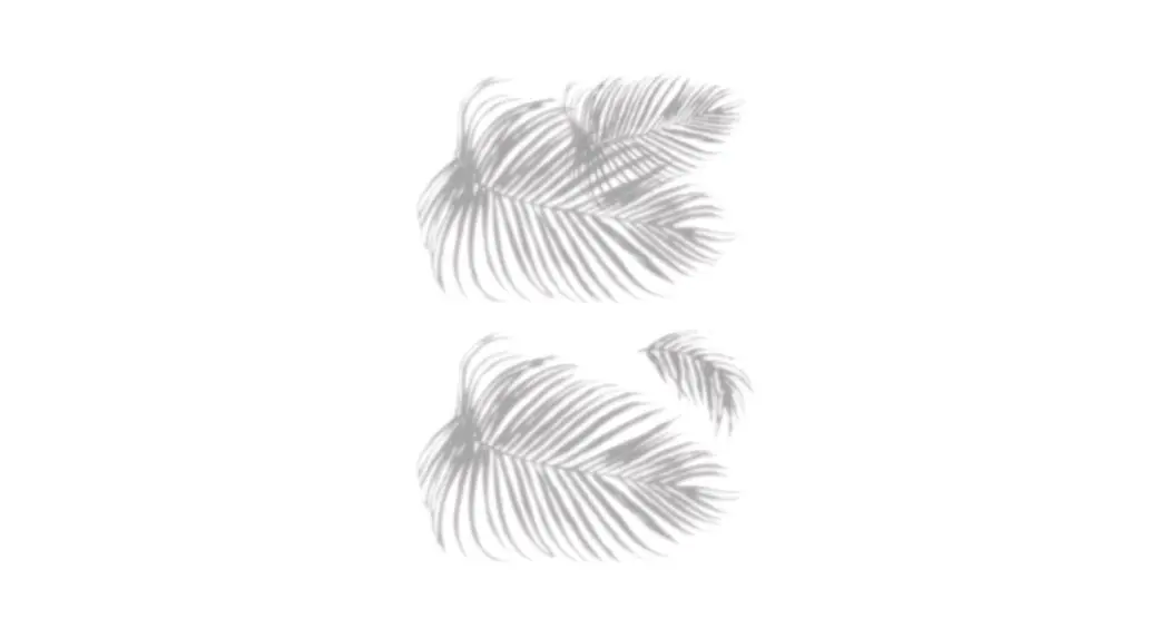 Roommates Rmk5063slm Mr. Kate Tropical Shadow Palm Frond Peel And Stick Wall Decals Installation Guide