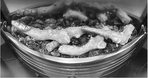 Dimplex-Gorstan-GST20-Optiflame-Inset-Fire-FIG-3