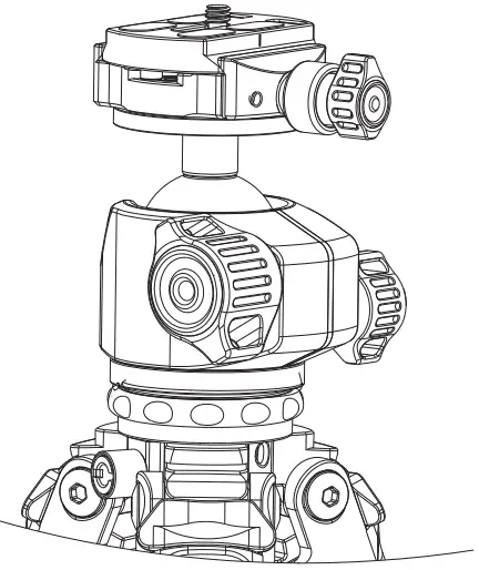 Attach the head to a tripod