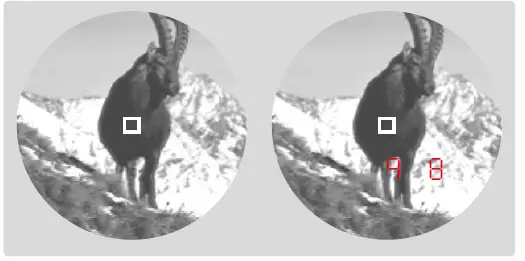 Leica 2400-R Laser Rangemaster 8