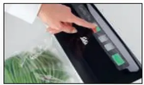 solis-Type-569-Automatic-Vacuum-Packaging-Machine-FIG4