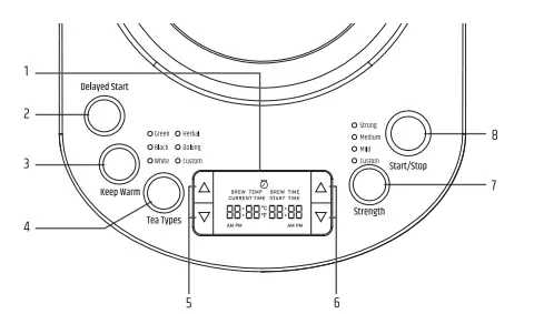 RAZORRI-PTK17A-Premio-Electric-Tea-Maker-Kettle-fig-2