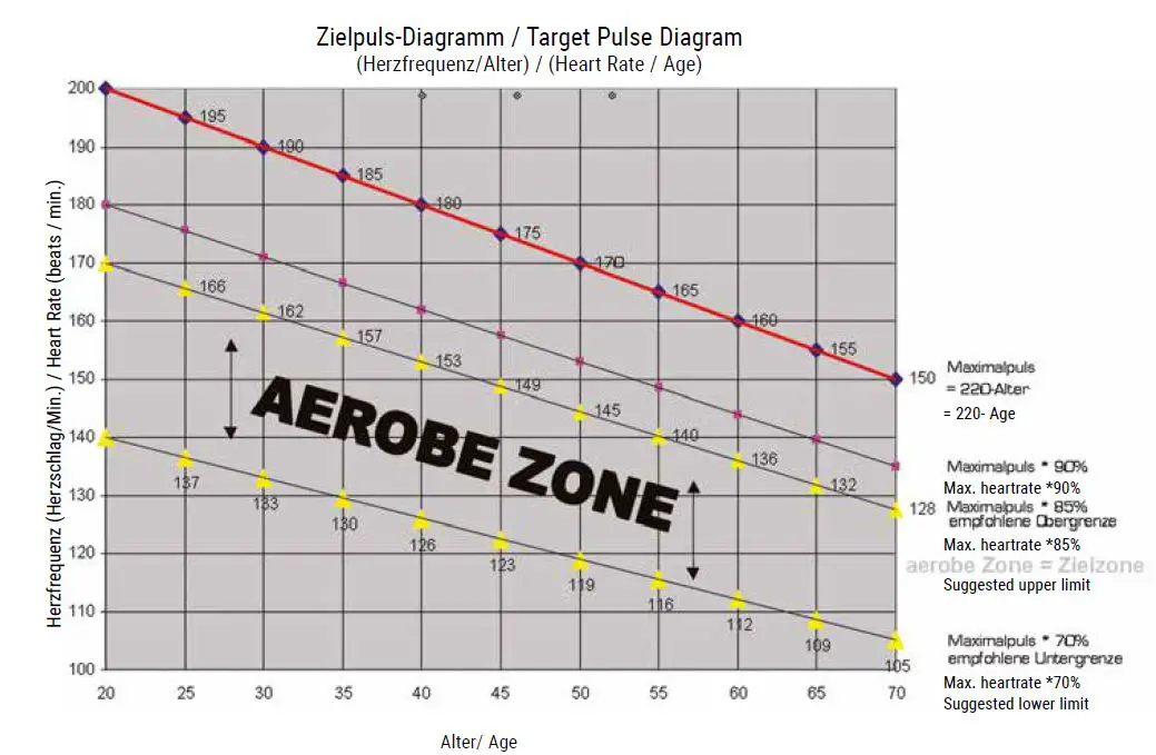 HAMMER 4542 Water Stream II Rower-19