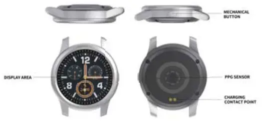 Appearance description