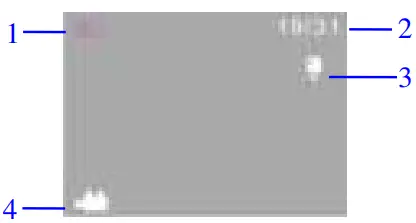 DENVER AC-1300 Action camera on the screen as