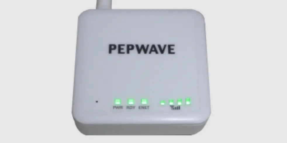 Peplink Pepwave P1mt01 Router Instructions