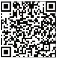 HornAudio Sounds Like Magic Up2Stream AMP2.1-FIG5