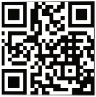 HornAudio Sounds Like Magic Up2Stream AMP2.1-FIG6