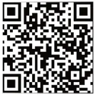 HornAudio Sounds Like Magic Up2Stream AMP2.1-FIG7