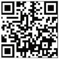 HornAudio Sounds Like Magic Up2Stream AMP2.1-FIG8