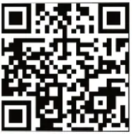 HornAudio Sounds Like Magic Up2Stream AMP2.1-FIG9