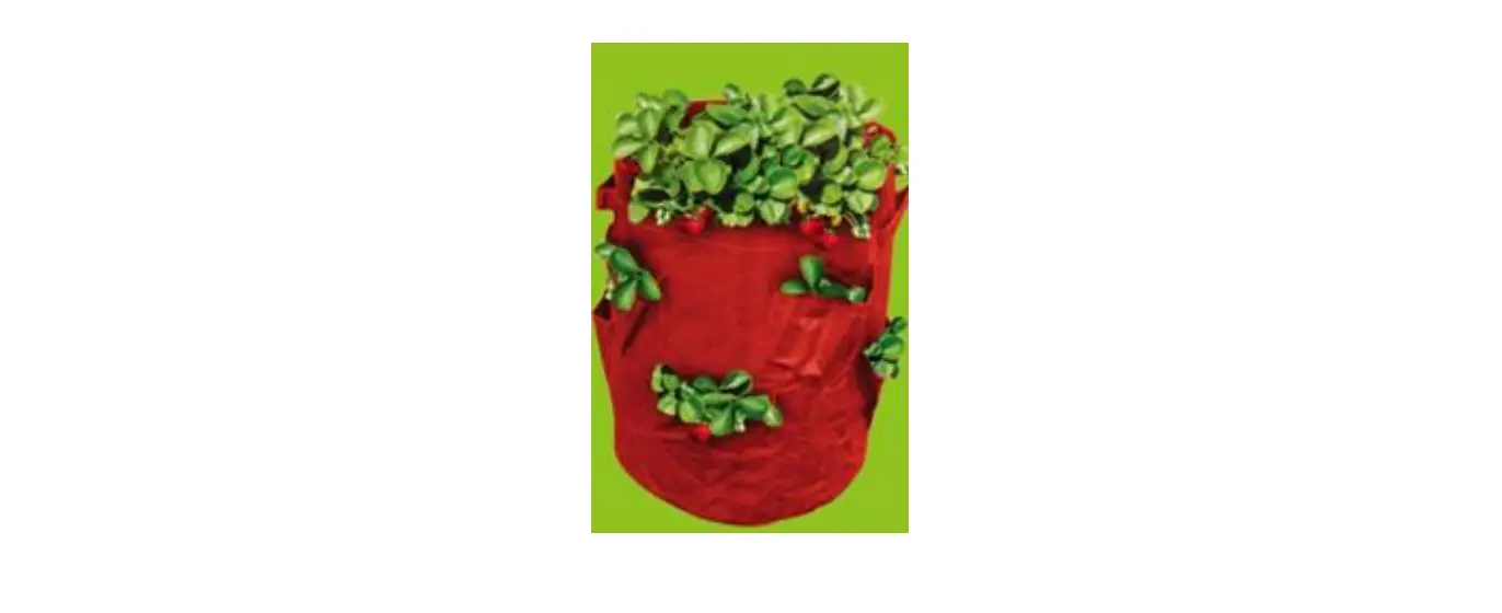 Gainsborough K250 Set 2 Strawberry Planters Instructions