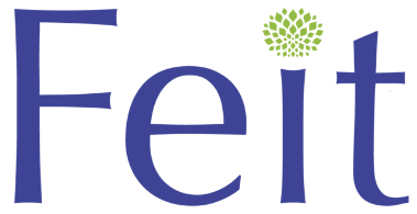 FEIT-LOGO