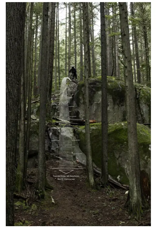 ROCKY MOUNTAIN Toonie Drop Post